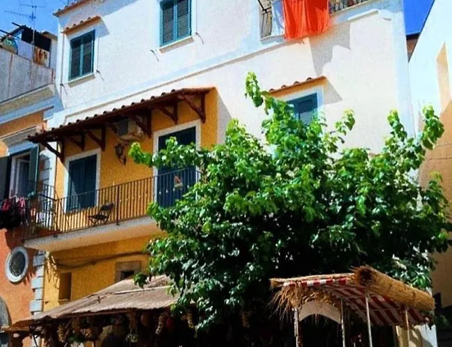 Jack Ponte Διαμέρισμα *